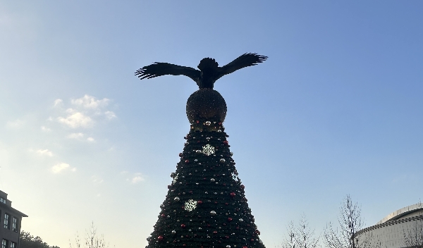 우리 대학 성탄절 트리  대표이미지