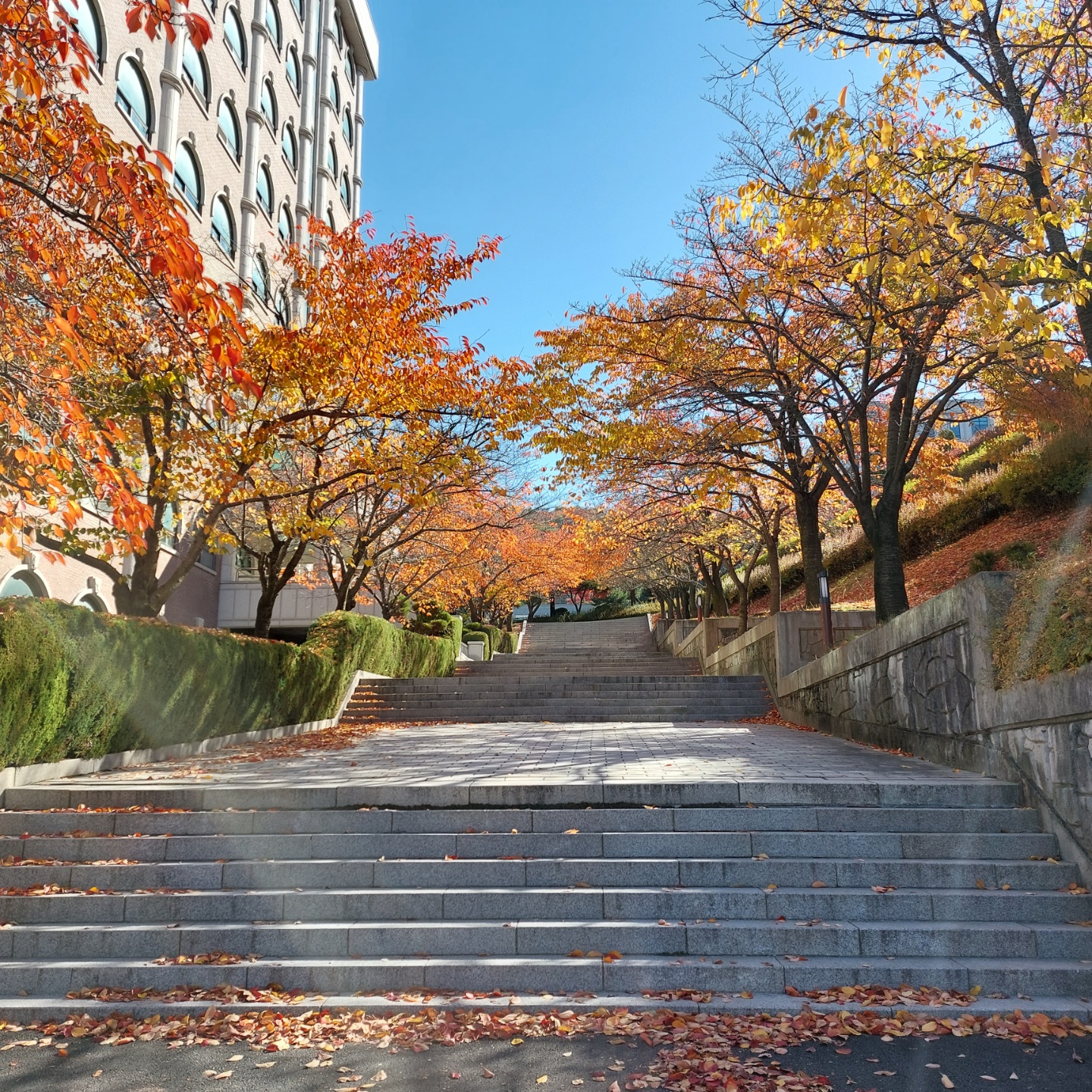 2022년 가을의 캠퍼스 6번째 첨부파일 이미지